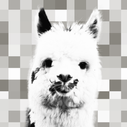 Lo mascot